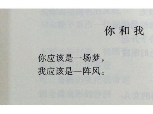 望你别回头失我者永失什么意思
