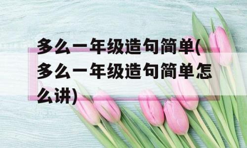 国家造句一年级简单