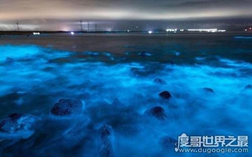 眼泪的学名是什么