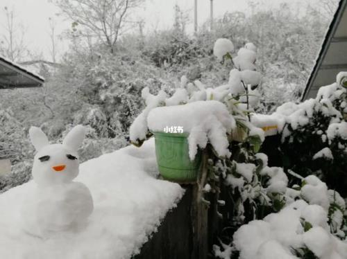 初雪堆雪人文案