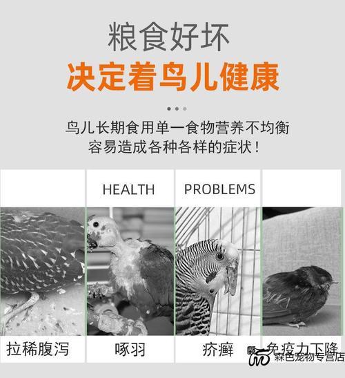 带壳的鹦鹉粮食麻雀能吃吗