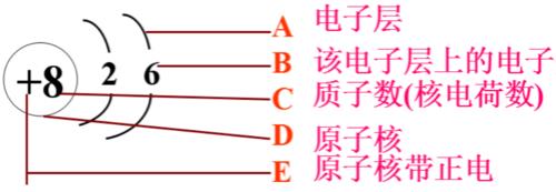 电荷用什么可以发现