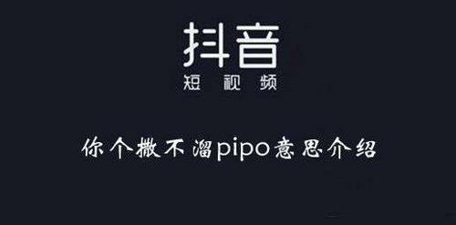 抖音里东北话旁白怎么加入