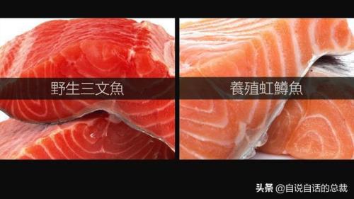 怎么区分三文鱼是鲑鱼还是鳟鱼