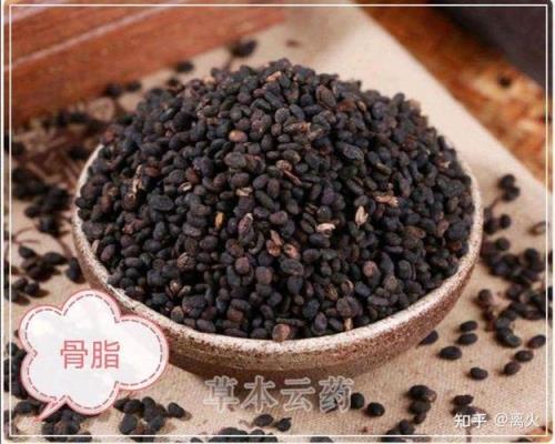 骨脂是什么