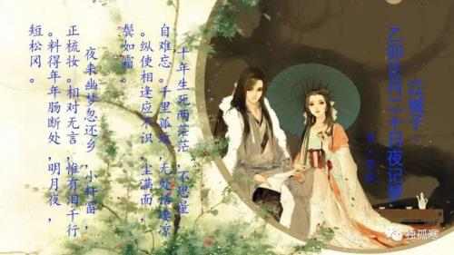 十年生死两茫茫诗词