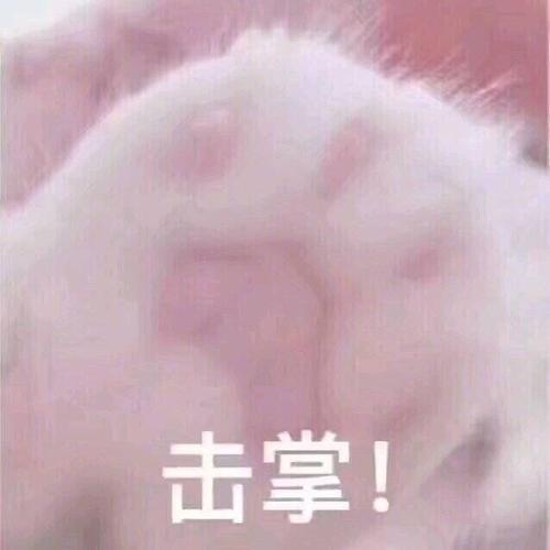 一言为定怎么回复
