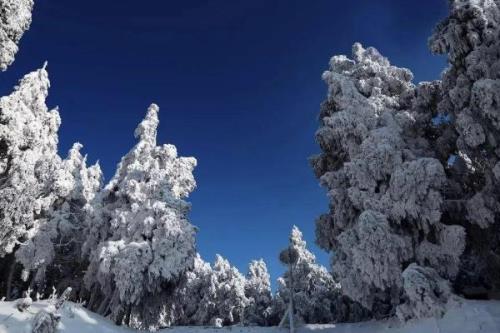 重庆赏雪的地方
