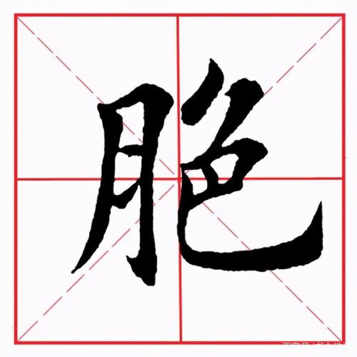 月字旁的笔画怎么写