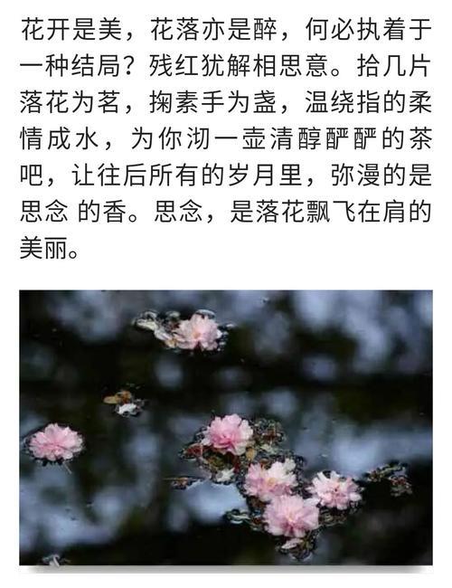 缘起缘灭缘已尽全文