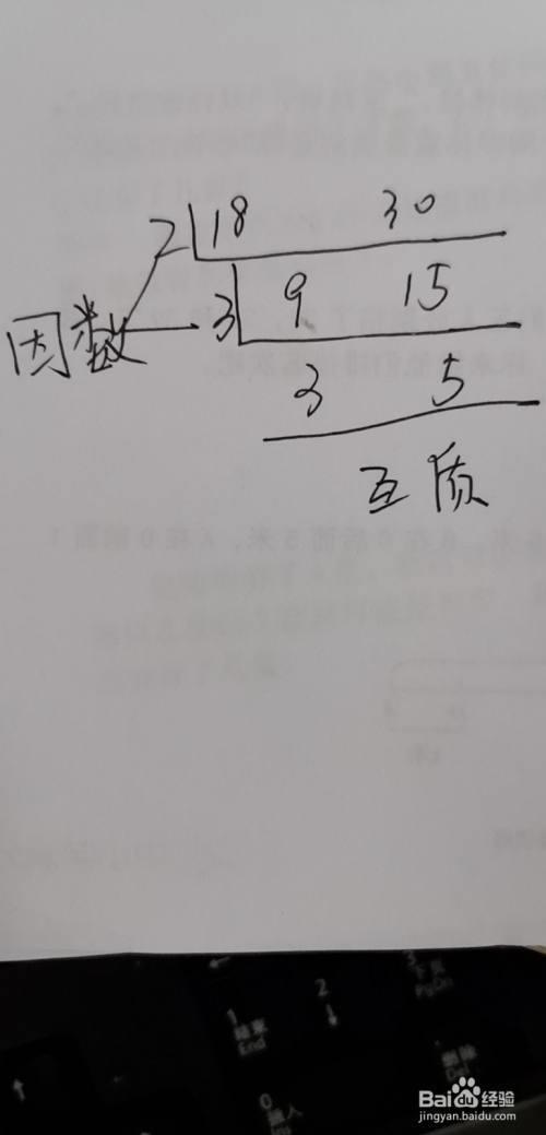 49和19的最大公约数是什么