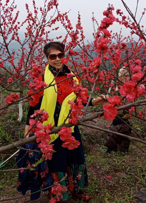 花开十里香如故下联是什么