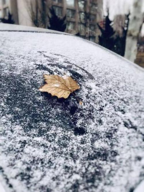发雪的朋友圈配文