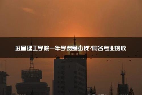 武昌理工学院15年学费