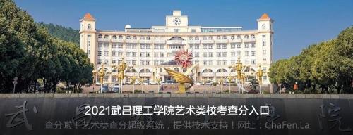 武昌理工学院是公办