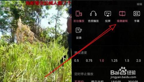 手机上怎么把视频镜像翻转