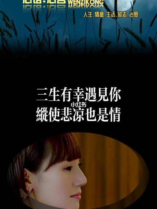 遇见你三生有幸意思