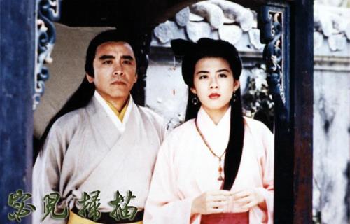 姜大卫主演100部电影