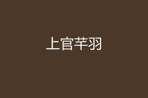 上官玥江羽丞在线阅读完整版