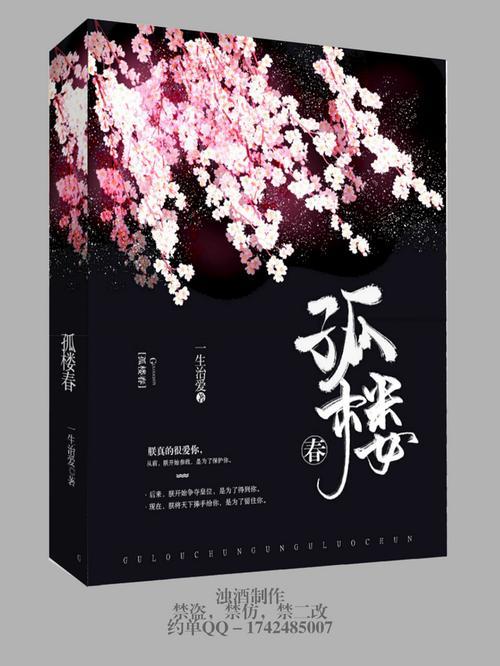 夜孤楼是什么小说