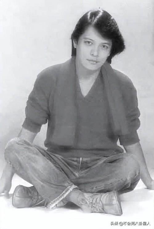 张艾嘉与刘文正的故事