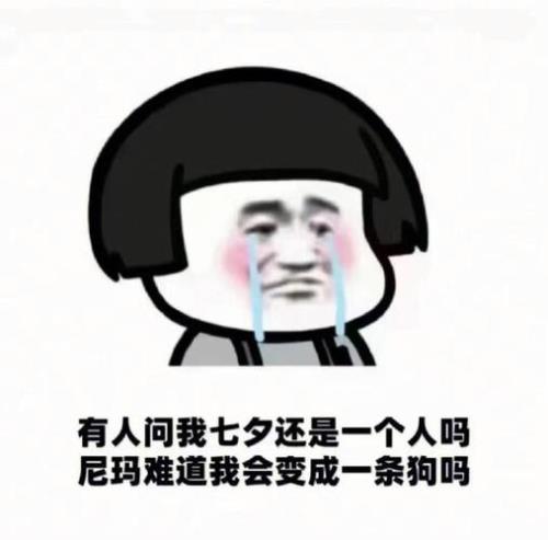 七夕情人节搞笑段子