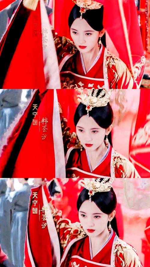 鞠婧祎演的芸汐传男主是谁