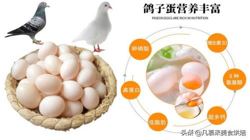 鸽子下蛋自己吃为什么