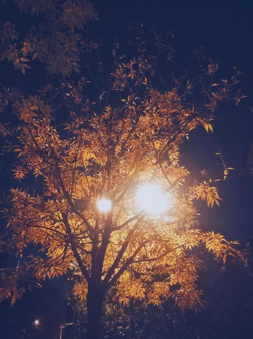 记忆里的光的主旨