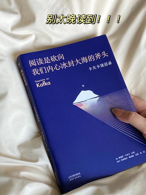 高晓松对格非的评价