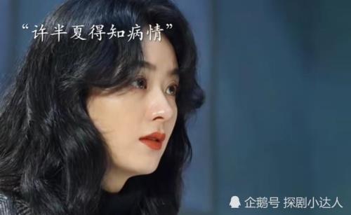 风吹半夏小说周茜结局
