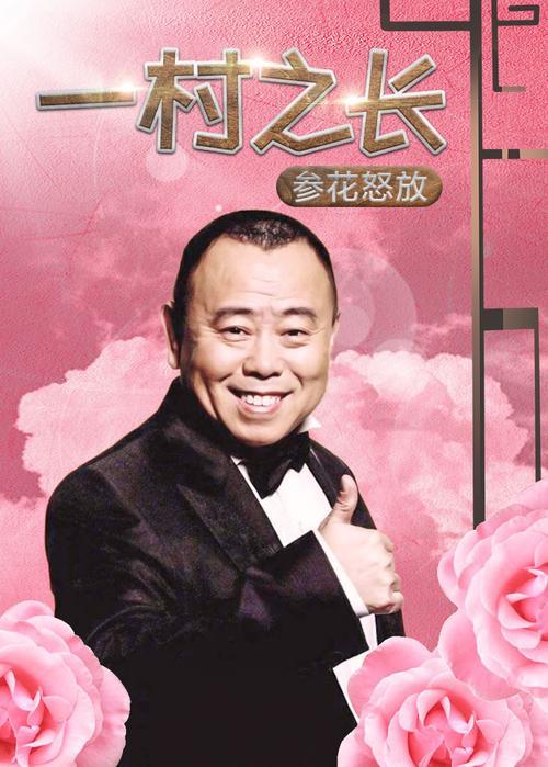 电影一村之长共几部