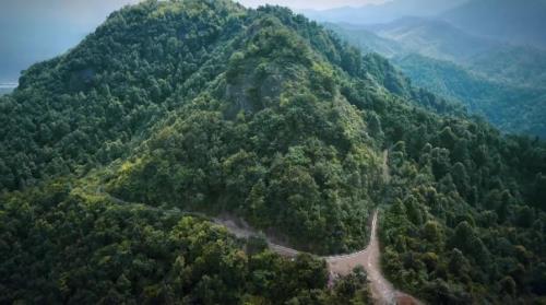 高山青渠多少集