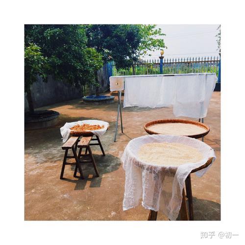 外婆的夏天结局