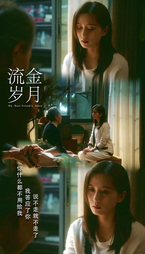 流金岁月原著全文阅读