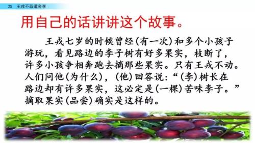 夸夸王戎的词语有哪些