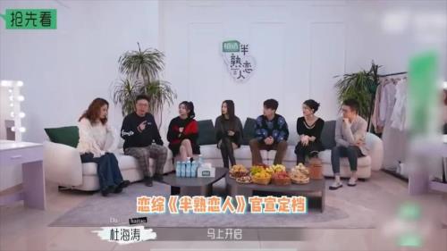 半熟恋人2艺人阵容