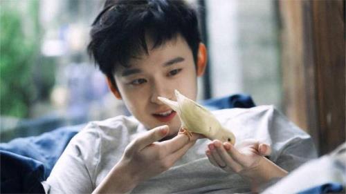 欢颜董子健上映时间