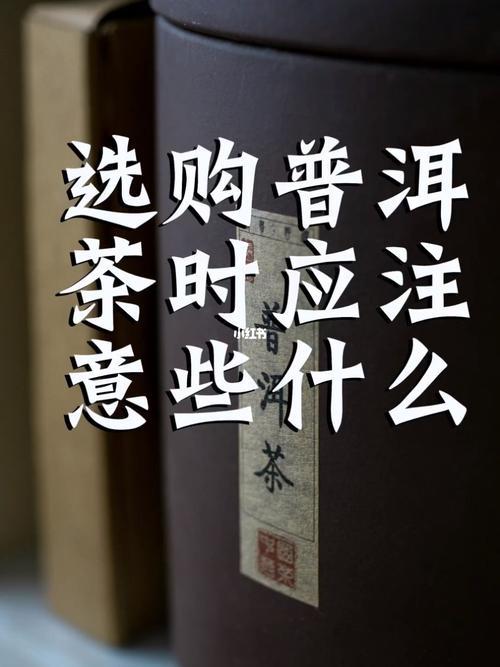 怎么选购普洱茶