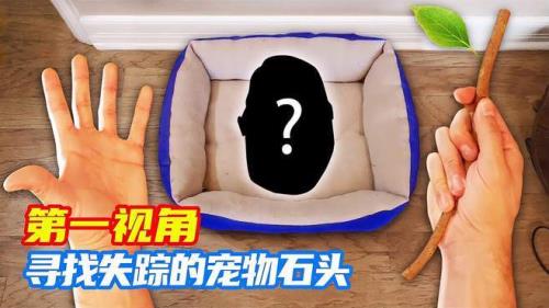 怎么养石头宠物