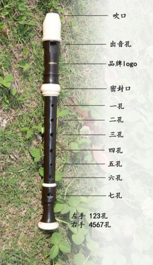 什么是高音C