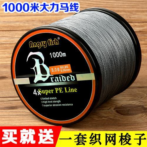 3号大力马子线可以钓多大的鱼