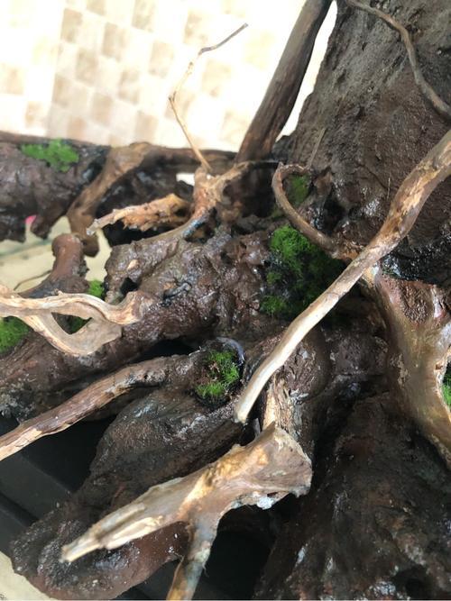 一木成景什么意思