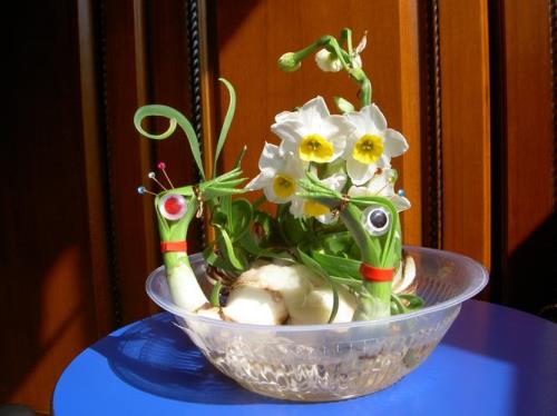 水仙花好养吗