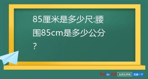 腰围95cm等于多少尺