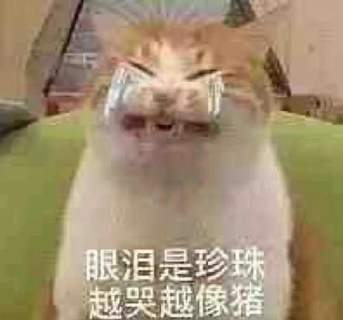 眼泪像断了线的珠子相似的句子