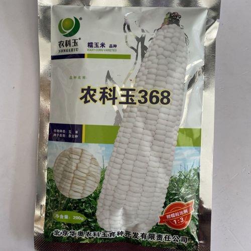 延科368玉米品种