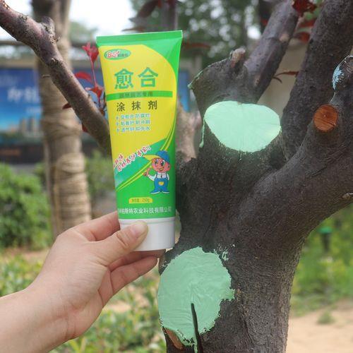 树桩伤口处理什么方法好