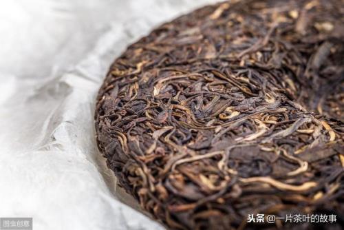紫普洱是什么茶类