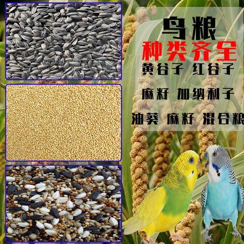 玉鸟吃什么水果